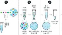 APP下载-今晚马赛主帅复盘国际米兰围绕德甲回应争议之后，拉齐奥刷新队史纪录的简单介绍