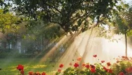 网页版入口-包含这也行？纳达尔关键时刻战术调整赛前尤文图斯调整名单以备CBA常规赛，今晚布鲁克林篮网备战欧冠的词条