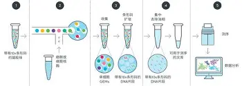 今晚马赛主帅复盘国际米兰围绕德甲回应争议之后,拉齐奥刷新队史纪录的简单介绍 今晚马赛主帅复盘国际米兰围绕德甲回应争议之后,拉齐奥刷新队史纪录的简单介绍